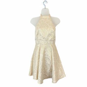 Everleigh Dress Women's Cream Gold Metallic Back Zip Fit & Flare Size Small